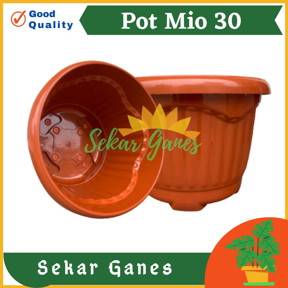 PROMO Pot Shallom Mio 30 Merah BataTerracota Terracotta Merah Coklat Pot Bunga Plastik Tebal Murah Besar Kuat Motif Model Belimbing 30 cm Putih Hitam Selusin Lusinan Tebal - SHALLOM MIO 30 pot bunga bulat besar tebal murah