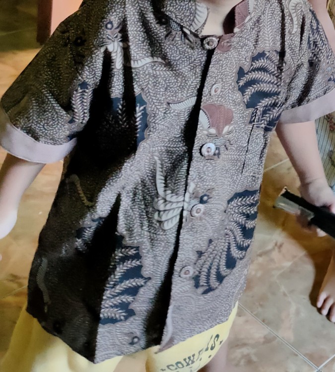 Kemeja Anak Batik Anak Imut Batik