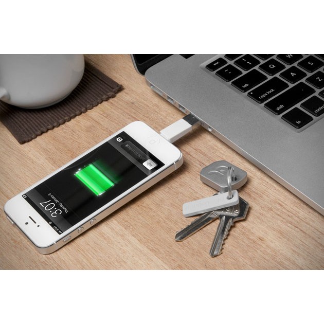 Keychain Lighting Cable for Charge &amp; Synch Data