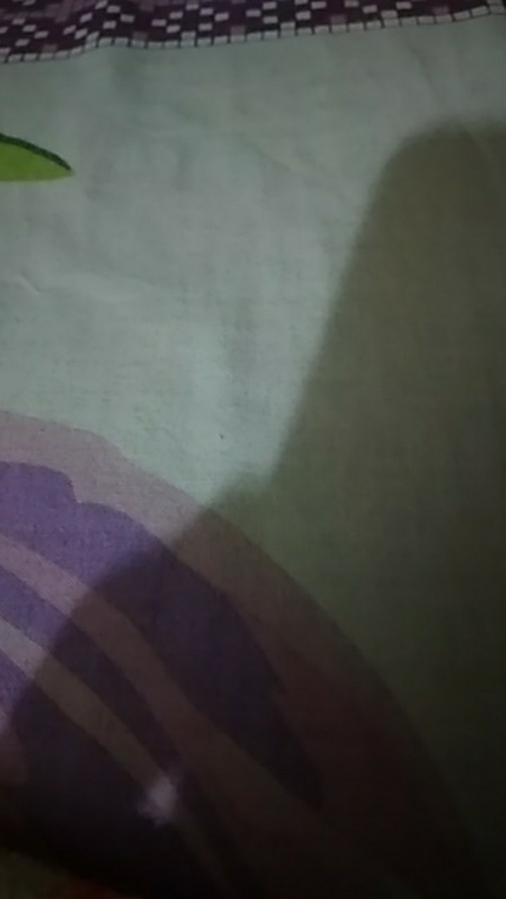 Cod Tudung Saji 4 Susun Masuk 2kg Tempat Penutup Makanan Food Cover Sliding Door