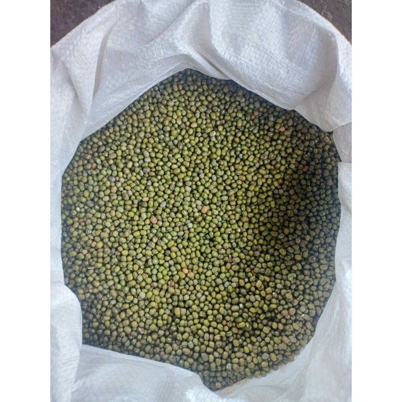 

Kacang Hijau Bening (500G)