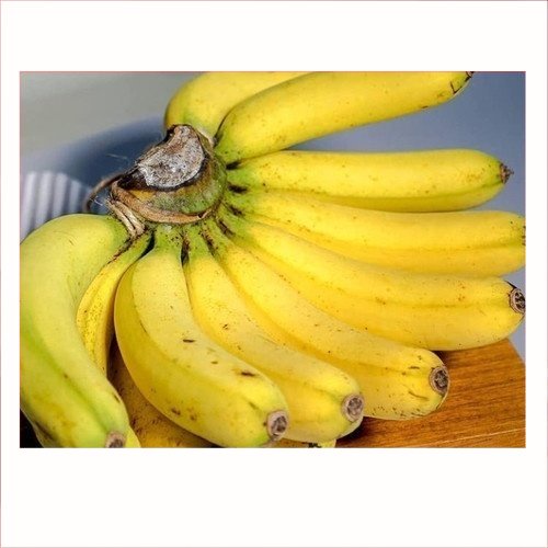 1 Ssr Pisang Barangan | Buah Segar | | Pasar Induk Pekanbaru #Harga_Grosir