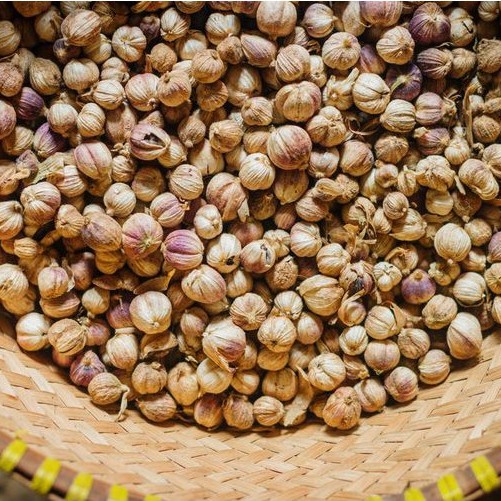 

Kapulaga Jawa - JSR - Cardamom - Cardamon