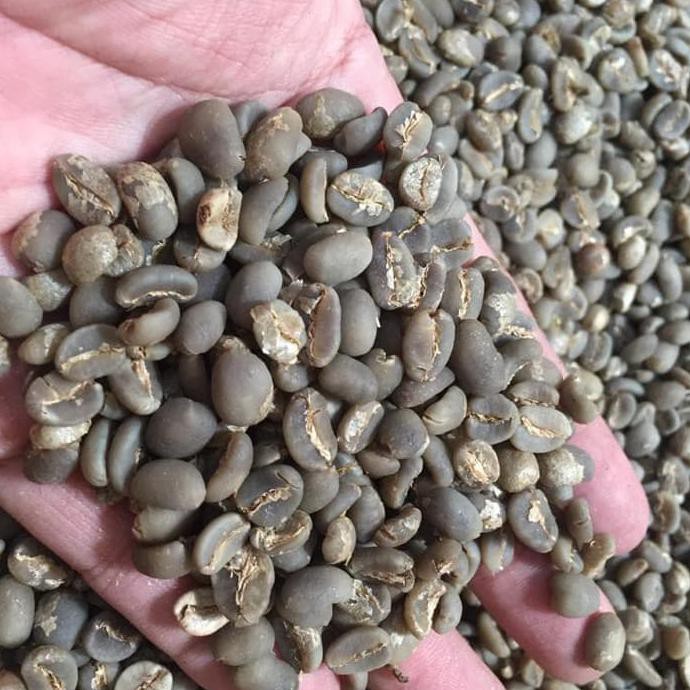 

Green Bean Arabica Gayo Semi Wash(wet hull)1000 gr (biji mentah)