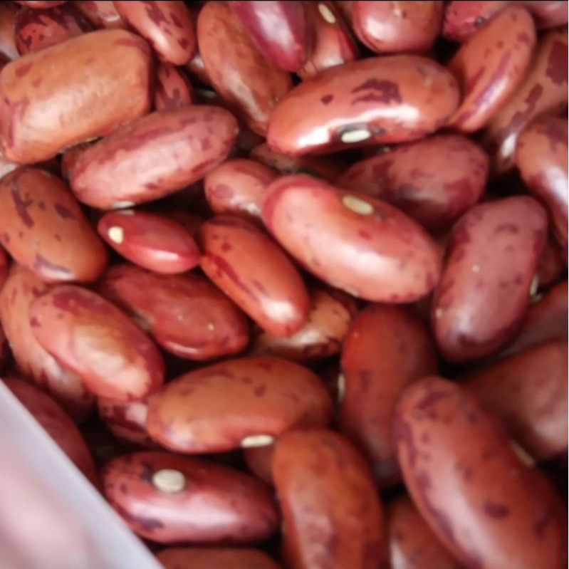 

Kacang Merah Kering Pilihan 500 gram - Lobia