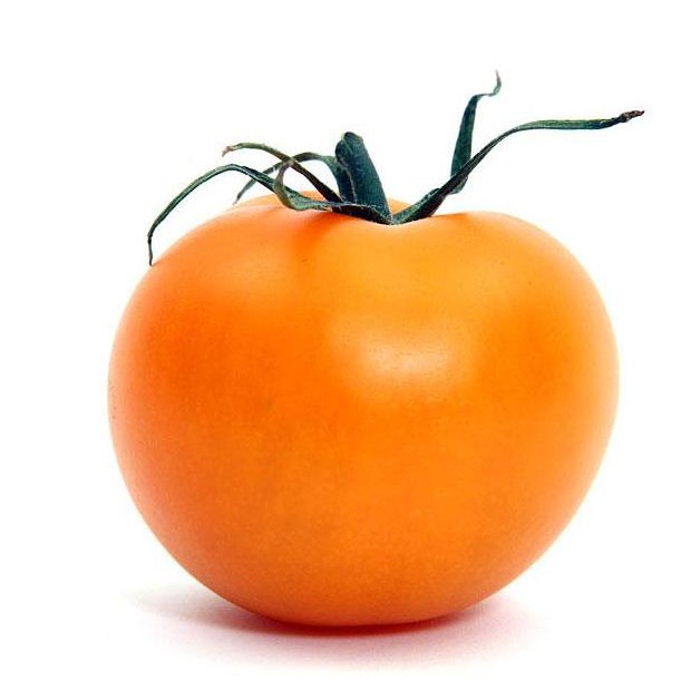 Benih TOMAT ORANGE JUMBO - Biji Import