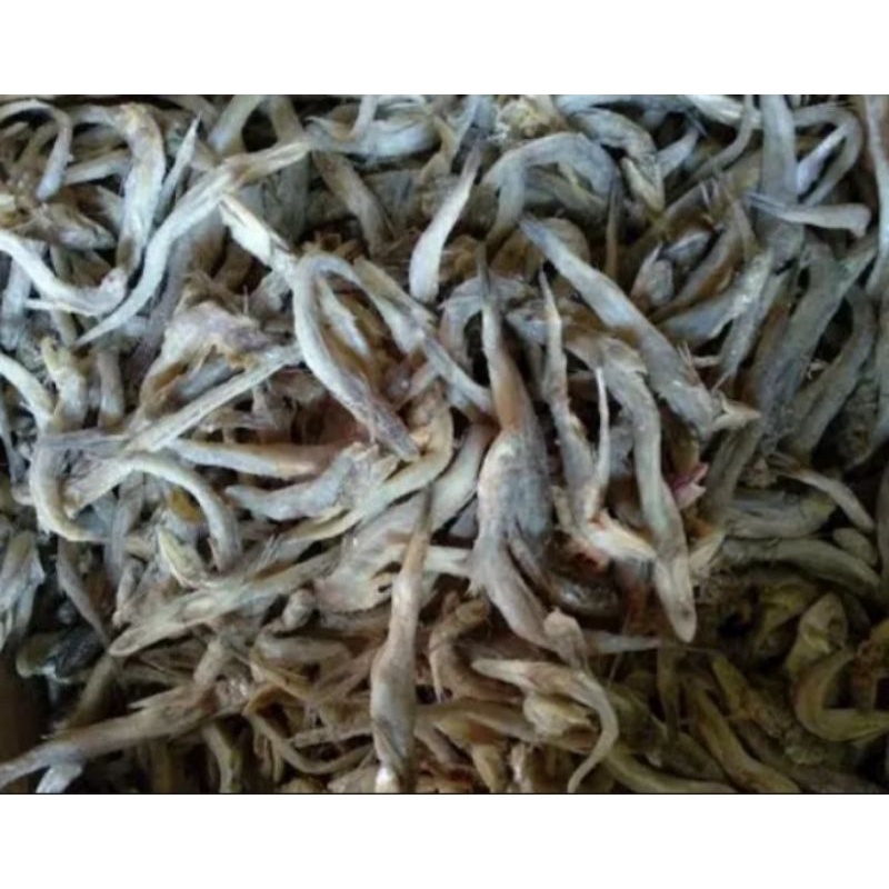 

ikan asin kacangan murah 1kg bisa bayar ditempat