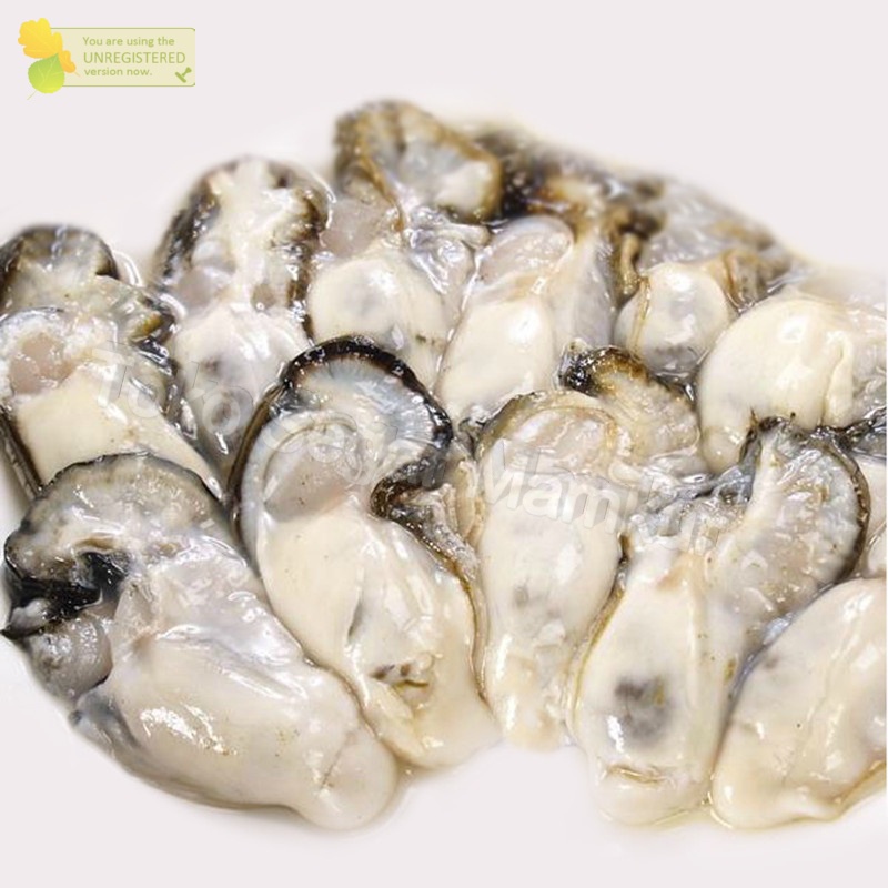 

Kerang Tiram Kupas Daging Tiram Oyster Segar 1Kg
