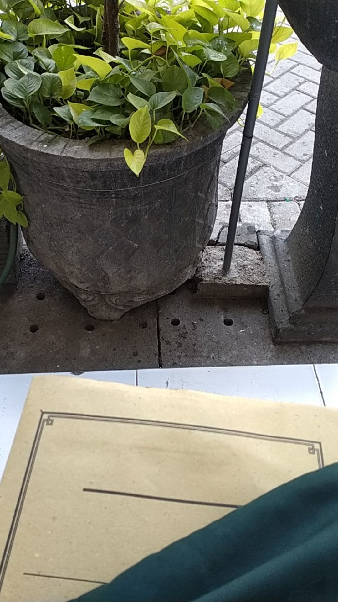 Gantungan Baju Kamar Mandi Handuk Dinding Tempel Kapstok Soligen