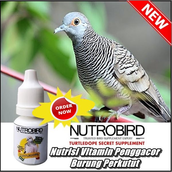 Promo Nutrobird Nutrisi Vitamin Burung Perkutut Derkuku Gacor Obat Penggacor Burung Perkutut Lokal B