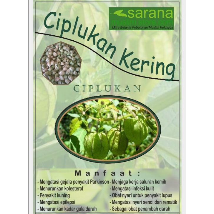 

Ciplukan Kering 250gr Banyak Manfaat
