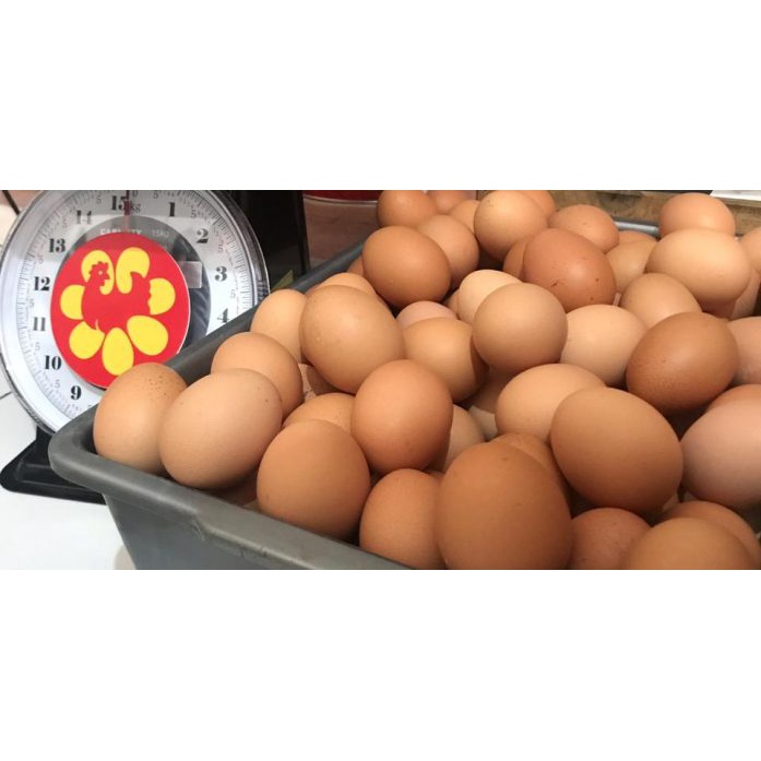 

Telur ayam bandung 1 kg