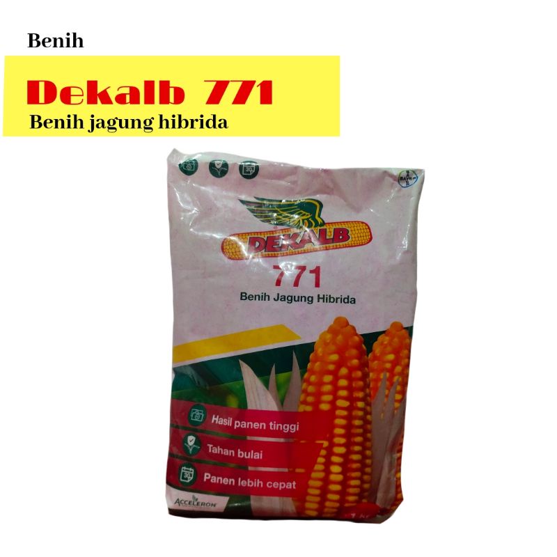 Benih Jagung Dk 771 @1kg