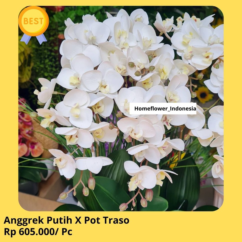 Anggrek Putih Plastik X Pot Traso