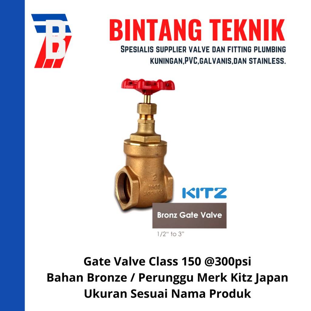 Gate Valve 3" inch Bronze Kitz Class #150