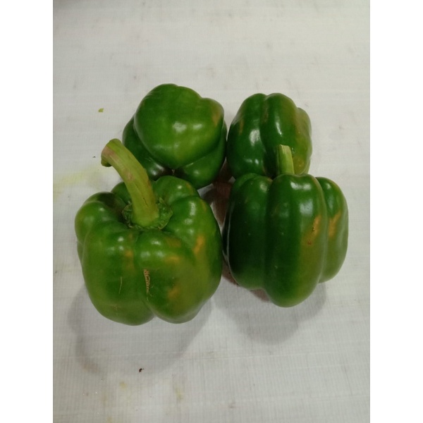 

paprika ijo 1kg 45.000