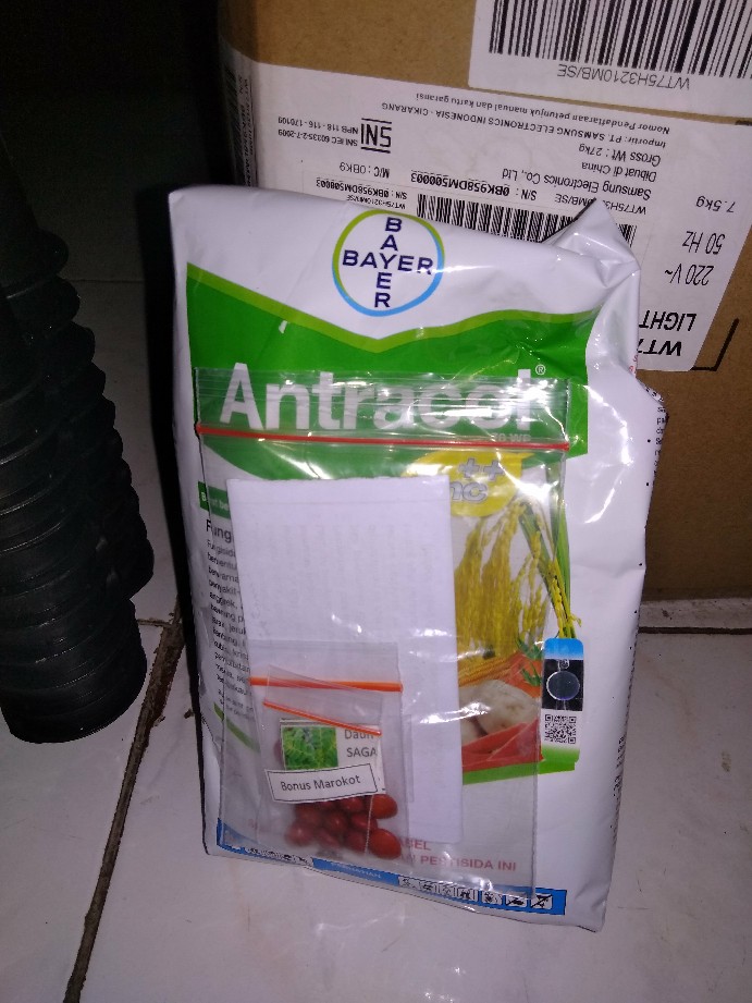 250 Gram - Fungisida Antracol 70 Wp Kemasan Pabrik Original