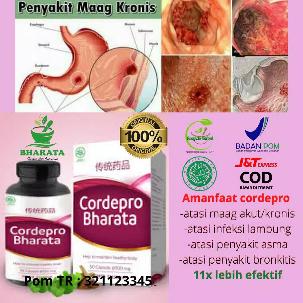 Cordepro Bharata Obat Maag Kronis*obat Lambung Ampuh Herbal 3 X Lebih ...