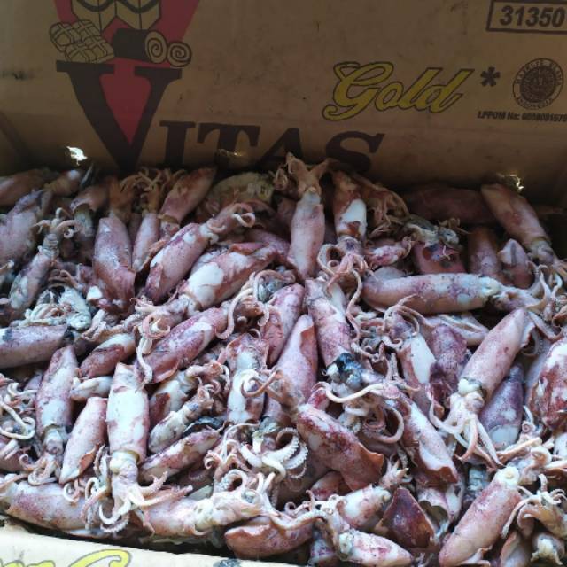 

asin cumi telor 500 gr