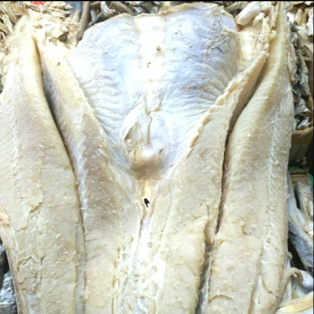 

Ikan Jambal Roti Medan Tanjung Balai1kg