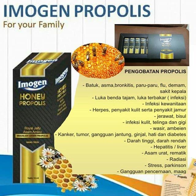 

tradisional-minuman- imogen propolis original -minuman-tradisional.