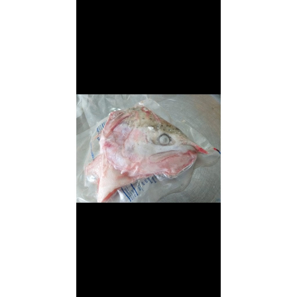 

Kepala Salmon Norwey
