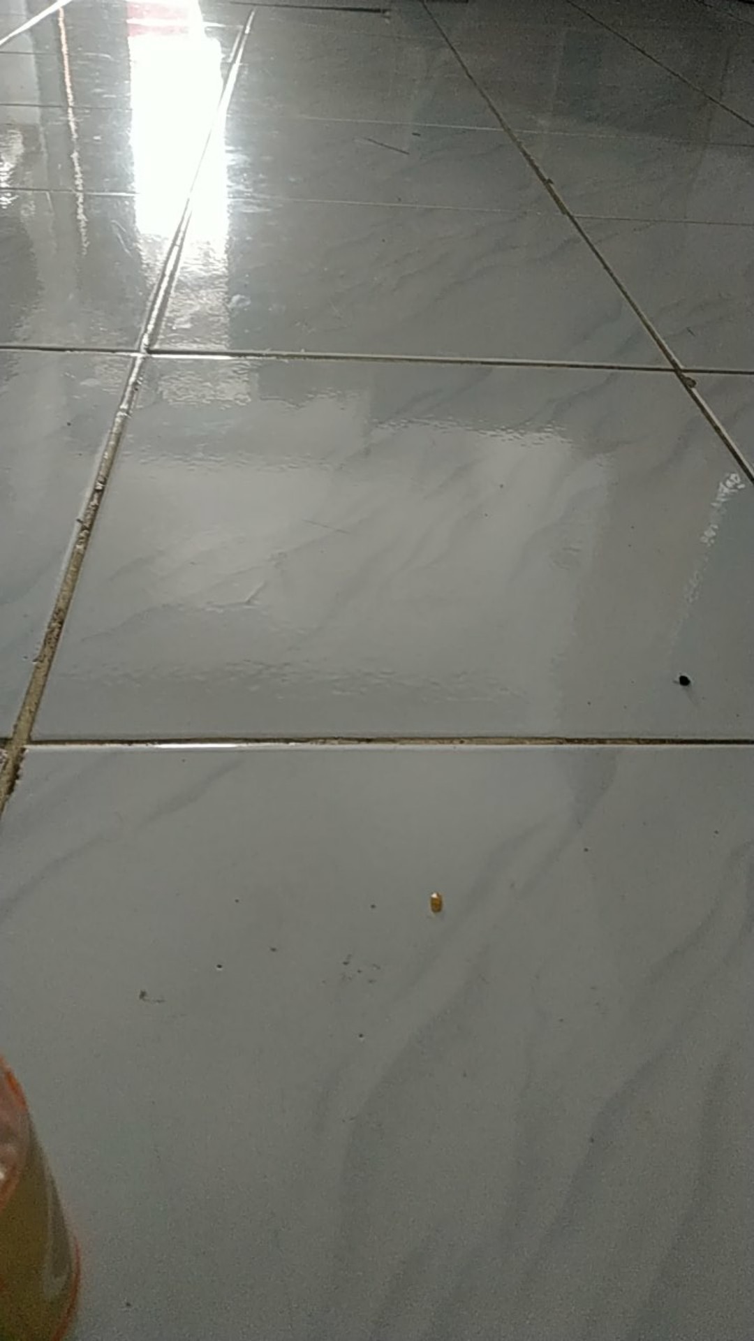 Pisau Dapur Buah Sayur Tajam / Pemotong Makanan / Kupas Buah Warna Warni /pisau(b30k)