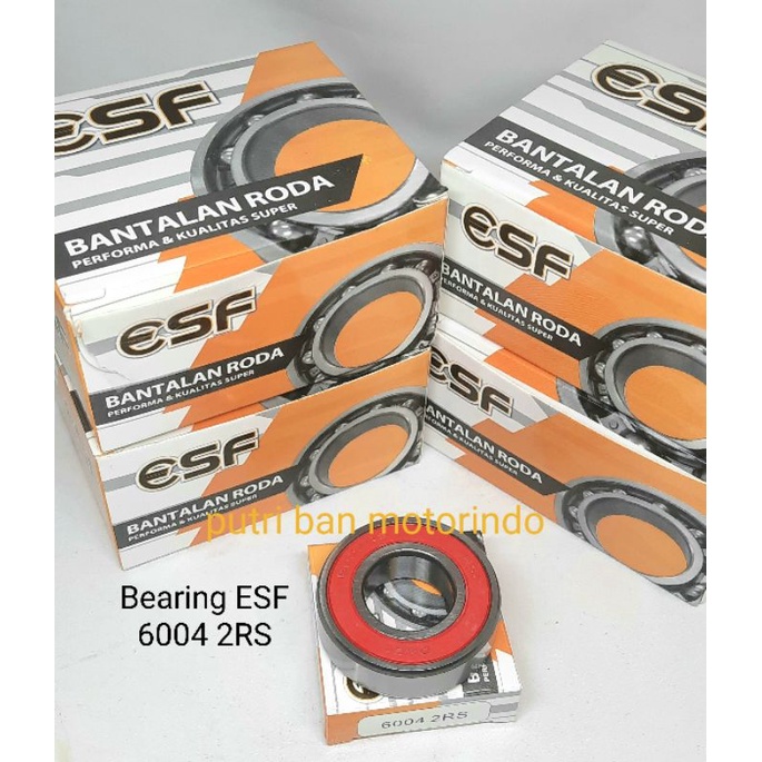 BEARING / LAHER 6004 2RS KRUK AS / CRANKSHAFT ESF