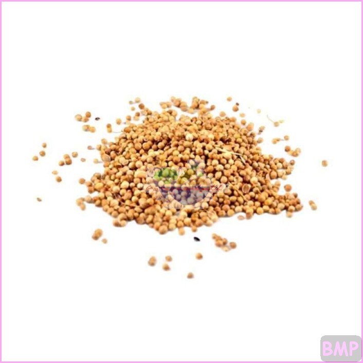 

KETUMBAR HITAM ORGANIK/ KETUMBAR PUTIH