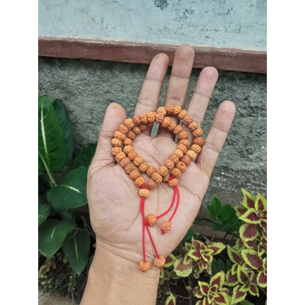 Gelang genitri original 1000% asli jenitri rudraksha