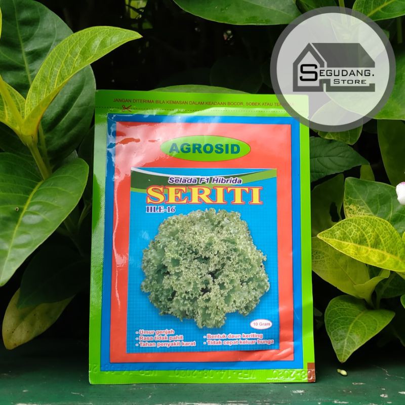 Benih Selada Seriti Repack