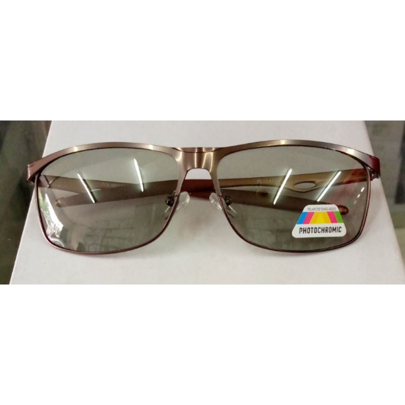 polinelli polarized photocromic PL134