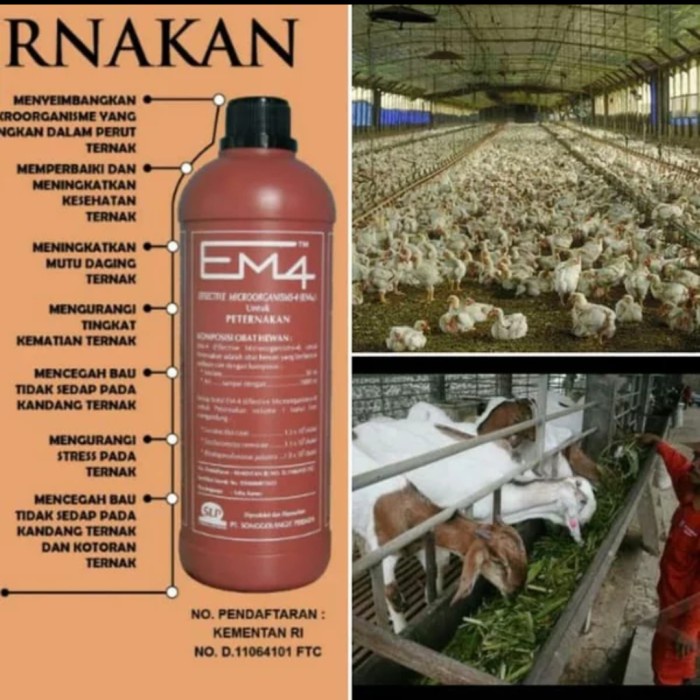 Em4 Peternakan ready stock