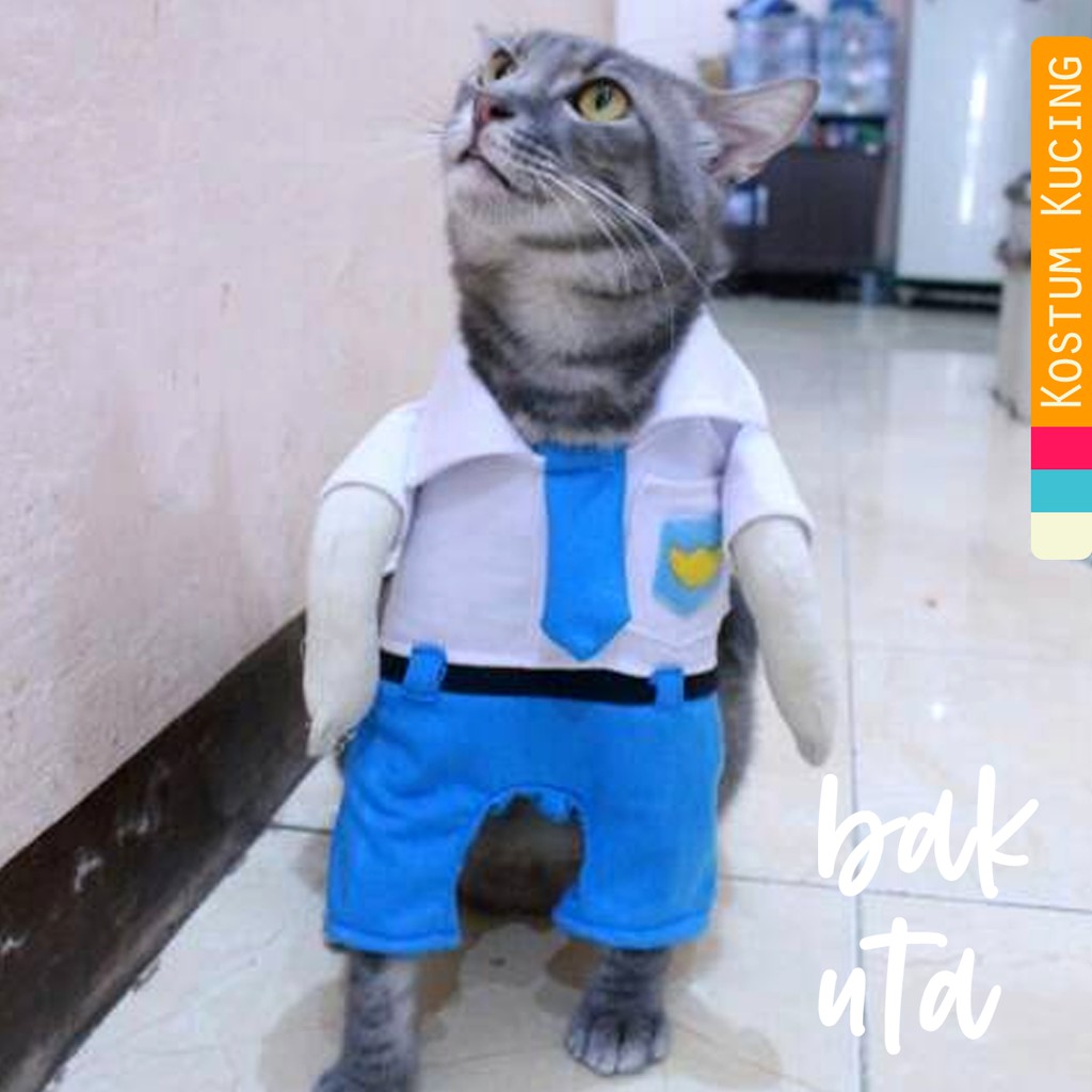 Kostum anak sekolah SMA untuk kucing dan anjing baju kucing murah size S M L XL