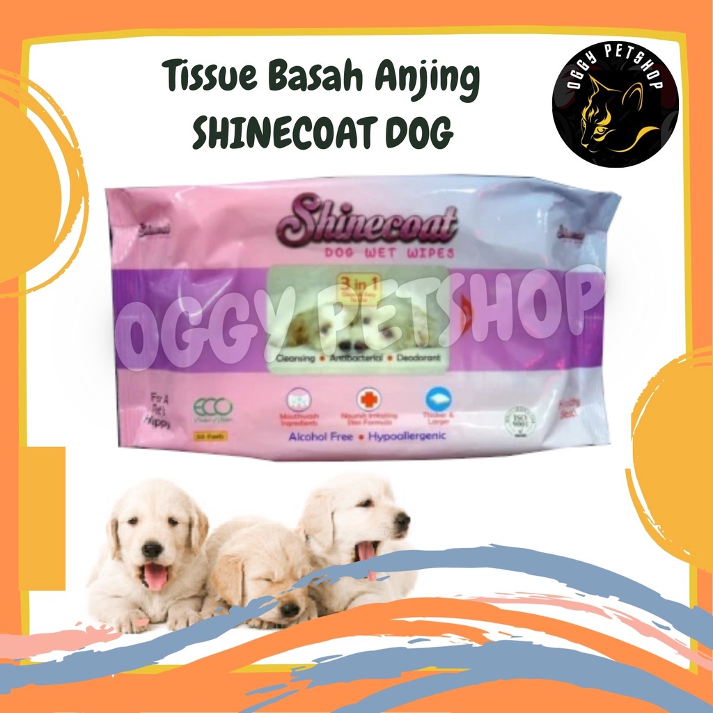 Tissue Basah Kucing &amp; Anjing SHINECOAT For CAT &amp; DOG | SHINE COAT TISSUE Isi 50 Pcs