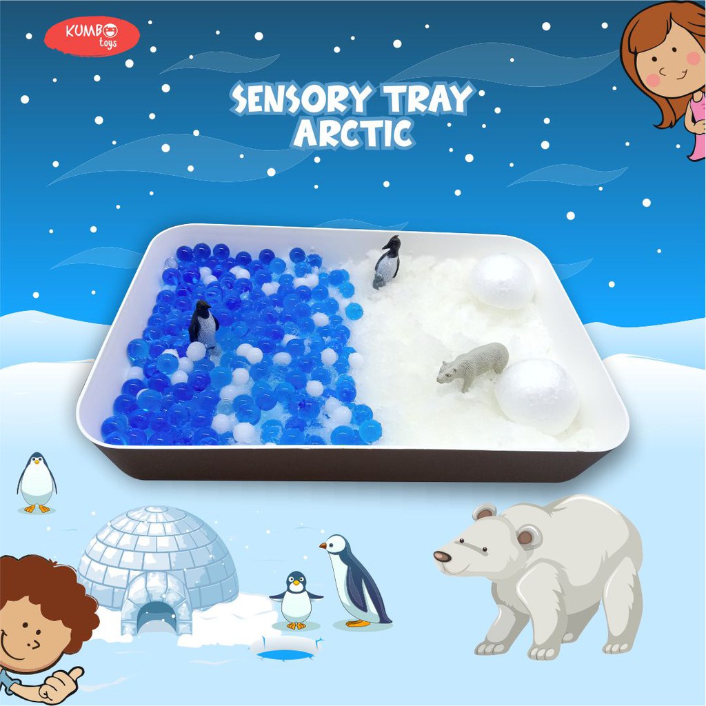 Arctic Sensory Tray Mainan Montessori Sensory Play