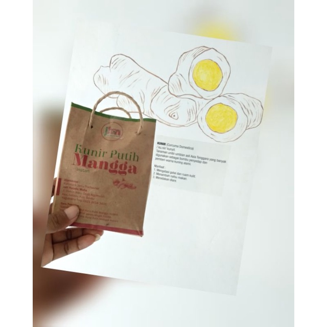 

Kunir putih mangga