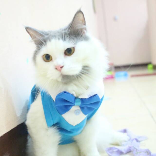 Kaos tuxedo baby blue untuk kucing dan anjing / baju kucing anjing size S M L XL