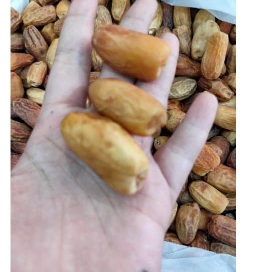 

kurma muda kering promil 500gram/kurma muda penyubur kandungan kurmud kering