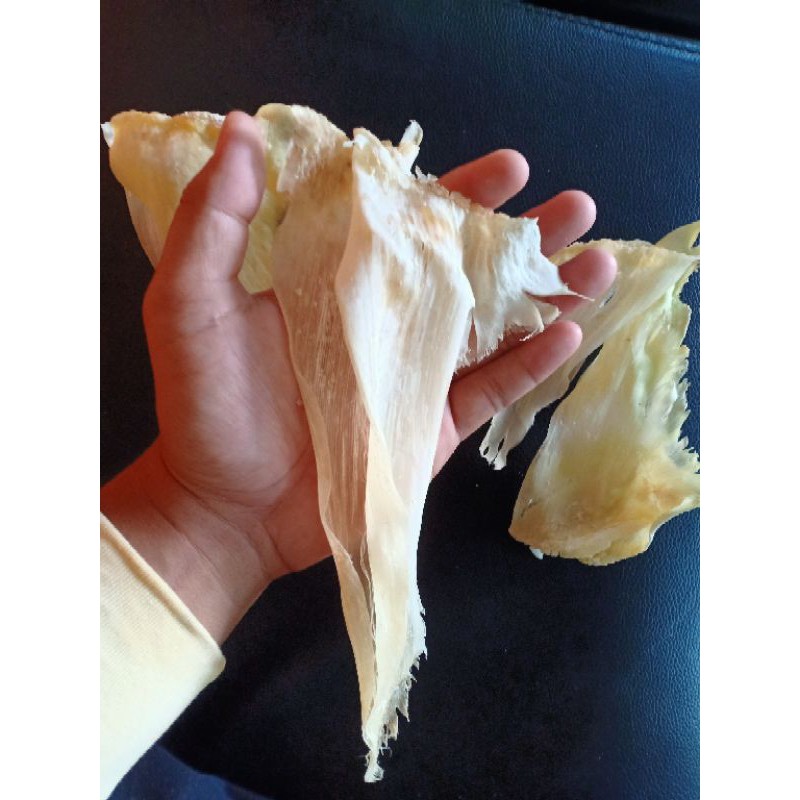 

SHARK FIN Sirip ikan hiu kering