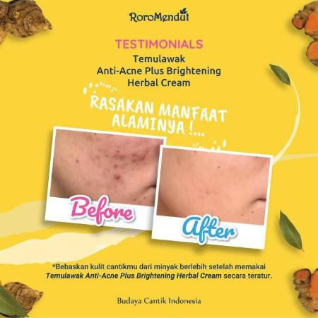 NIGHT CREAM TEMULAWAK RORO MENDUT KRIM MALAM TEMULAWAK ROROMENDUT