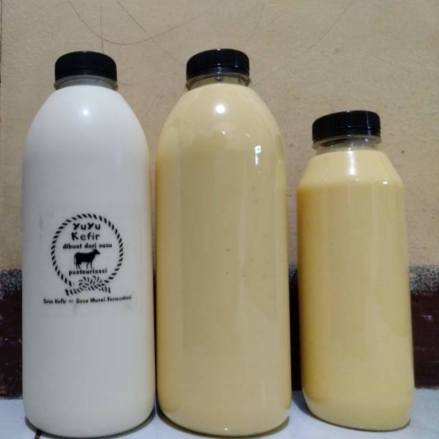 Susu Kefir Kolostrum Sapi / Kefir Colostrum