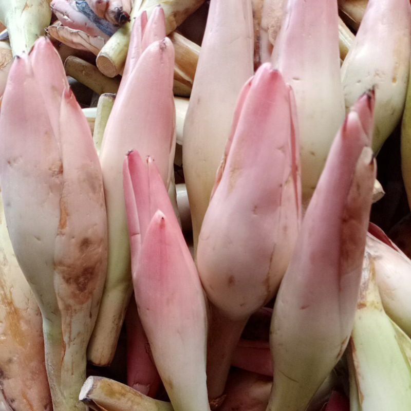 

Kincung/Kecombrang 1 biji/100 gram