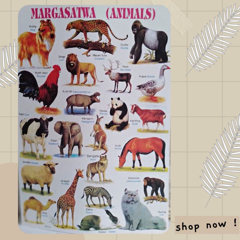 

Poster MargaSatwa (Animals) | Poster Anak