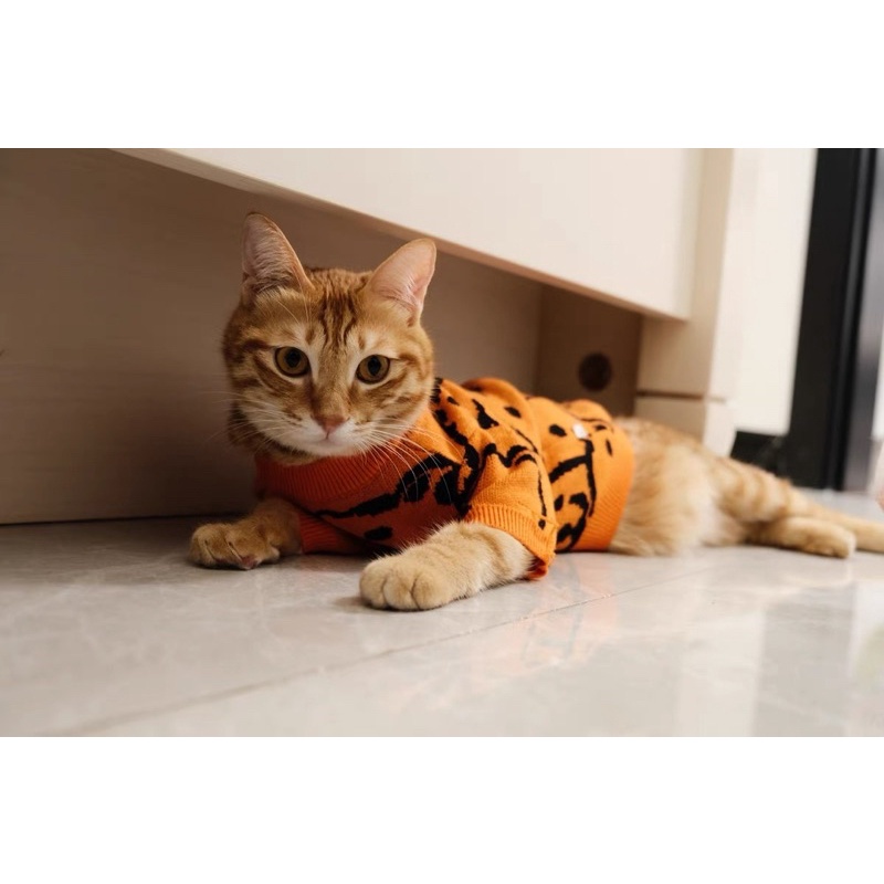 Orange &amp; Blue Bear Knit Top for Cat Dog Baju Anjing Kucing Lucu