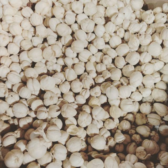 

Kapulaga putih 50 gr