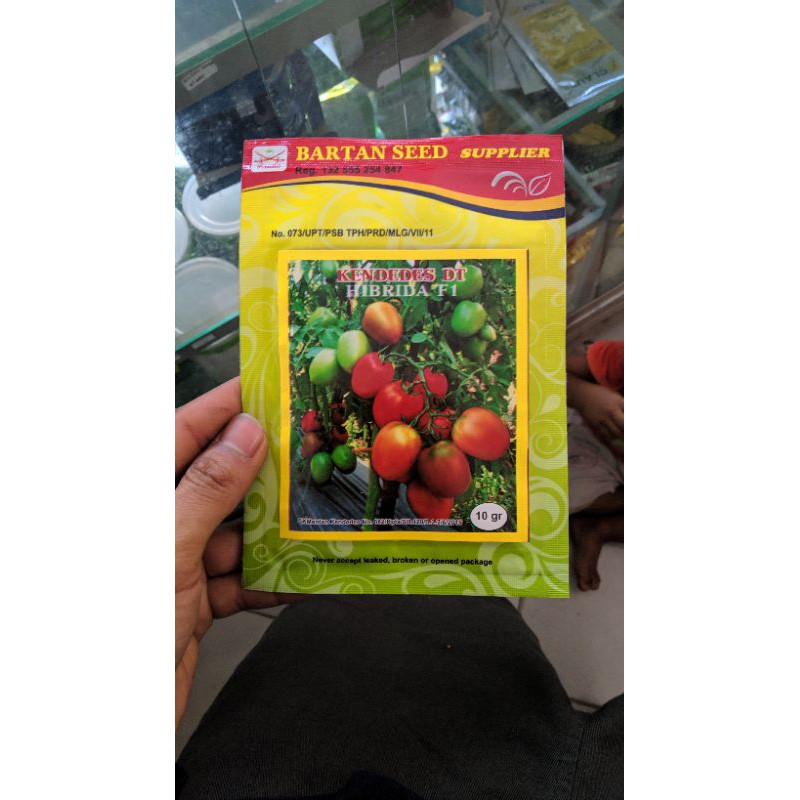 benih tomat kendedes dt