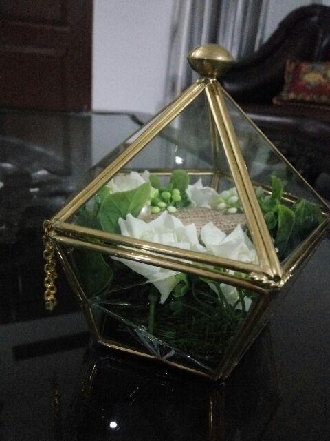 Tempat Cincin Terrarium