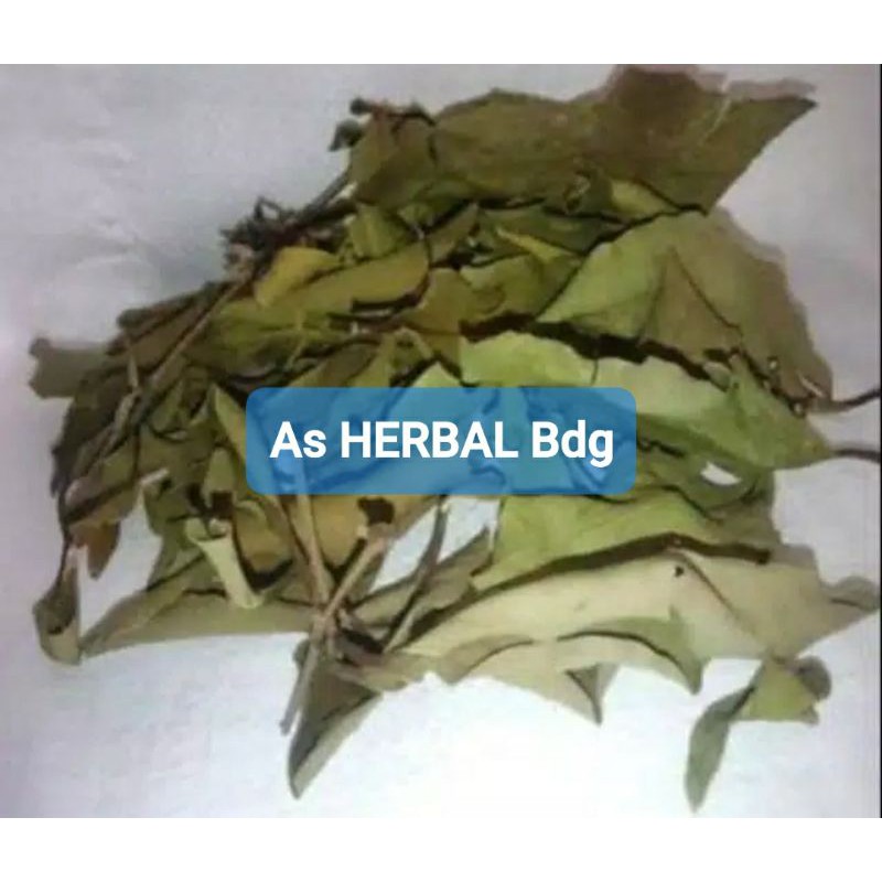 

Jual benalu jambu air kering paket hemat 500 gram-az