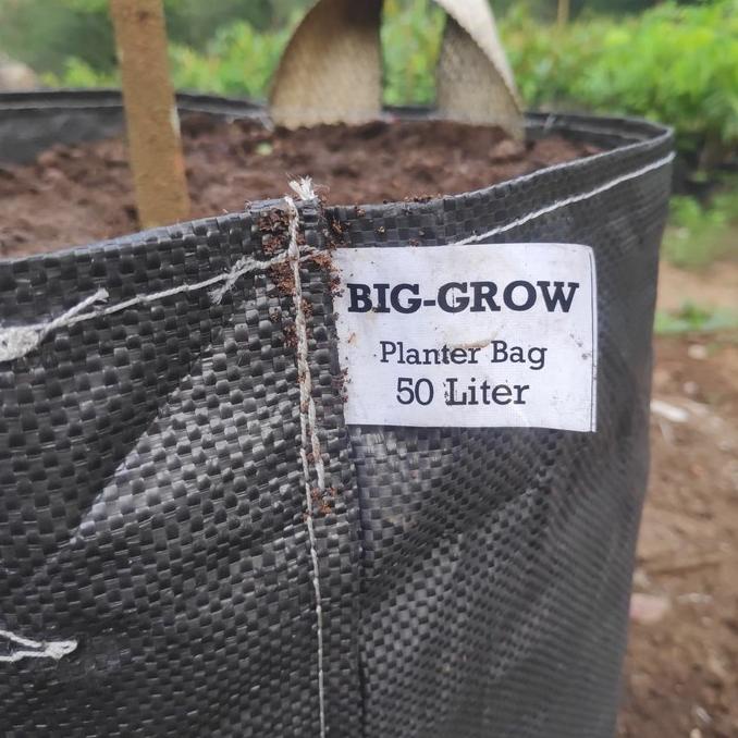 Planter Bag Big Grow